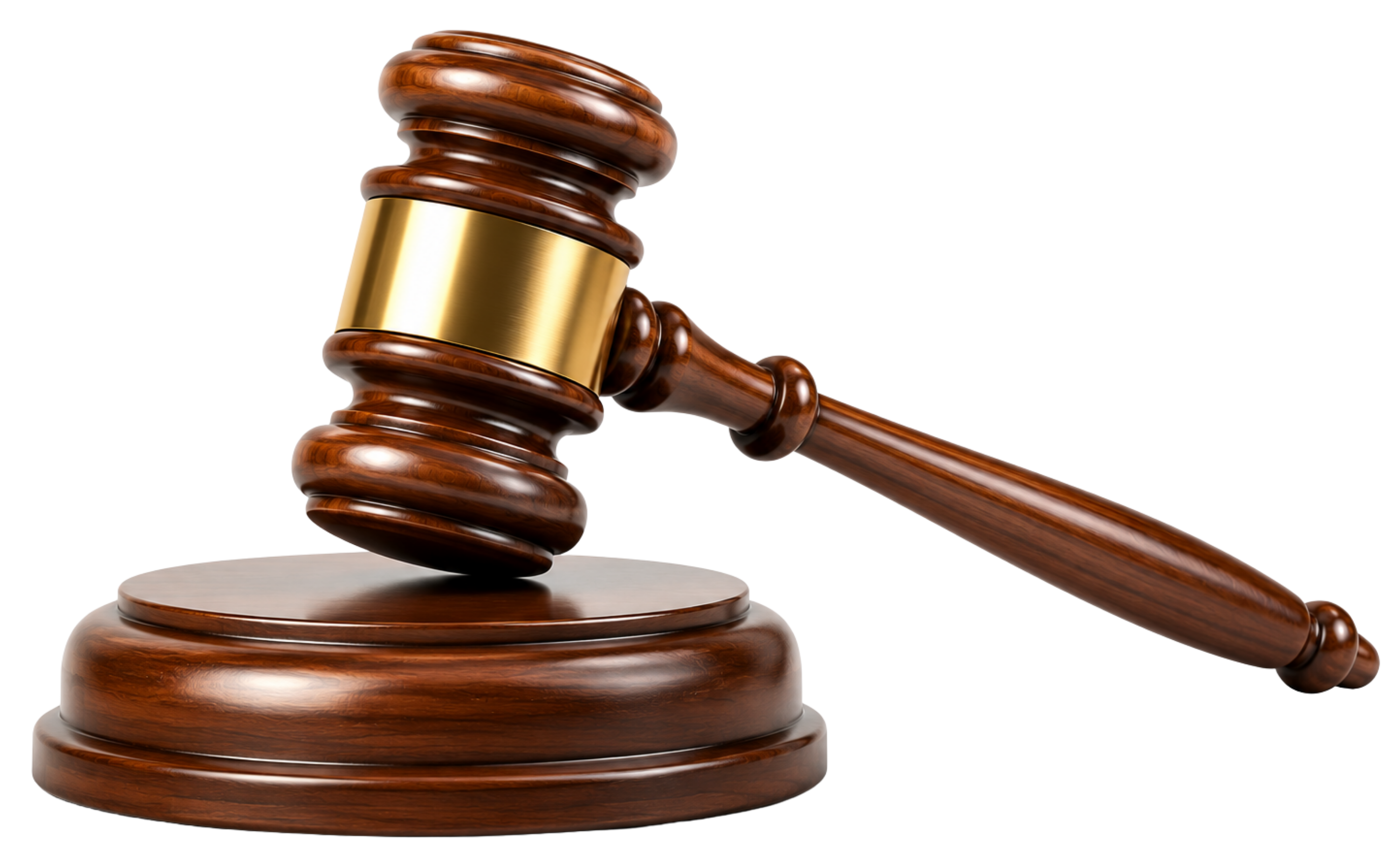 IBBI Court Orders